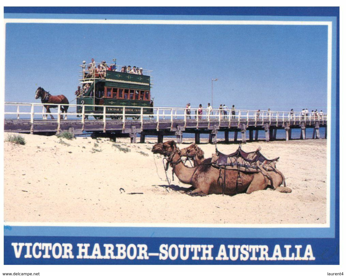 (M 20) Australia - SA - Victor Harbour (horse Drawn Carriage & Camel) - Victor Harbor