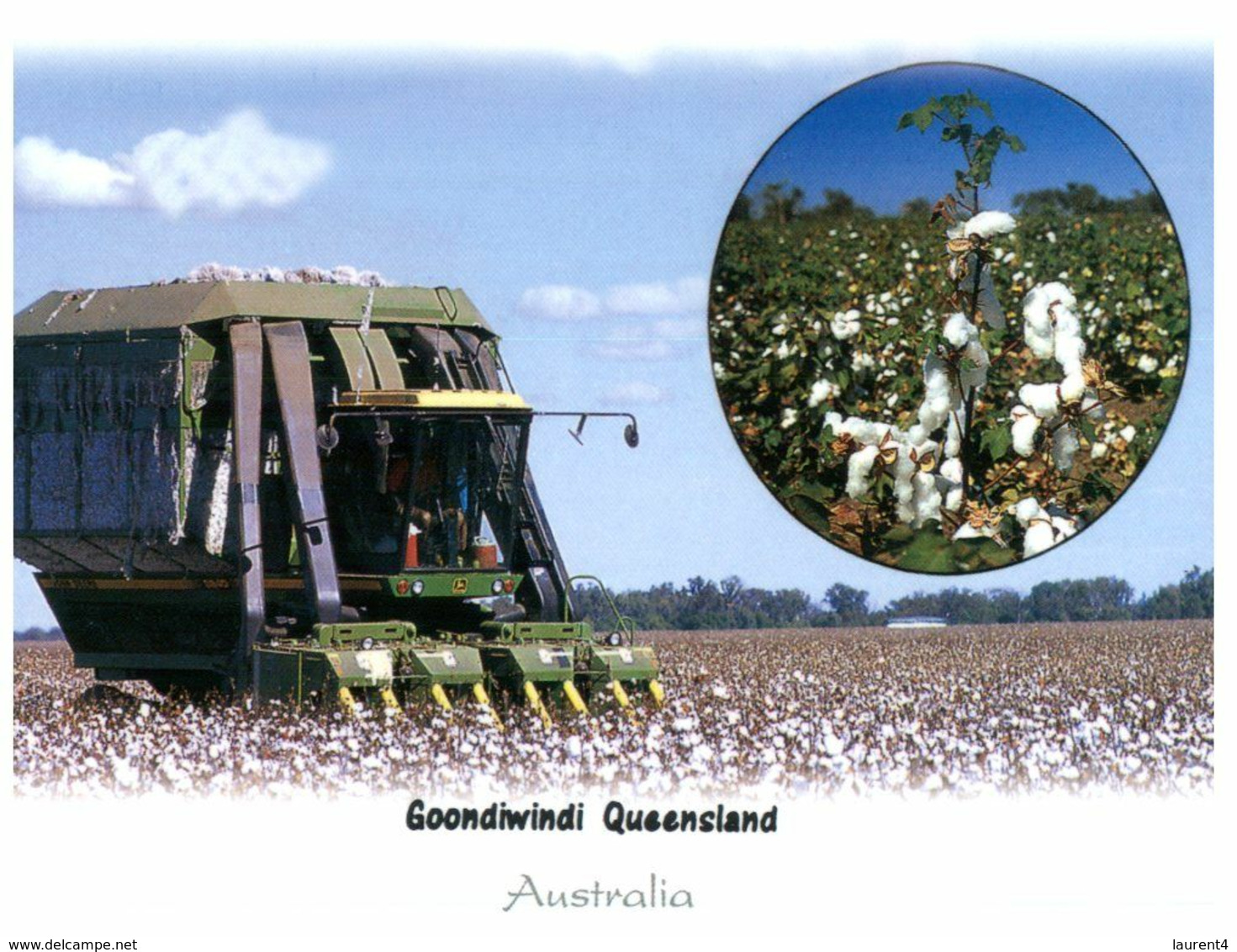 (M 20) Australia - QLD - Goondiwindi Cotton Harvest - Far North Queensland