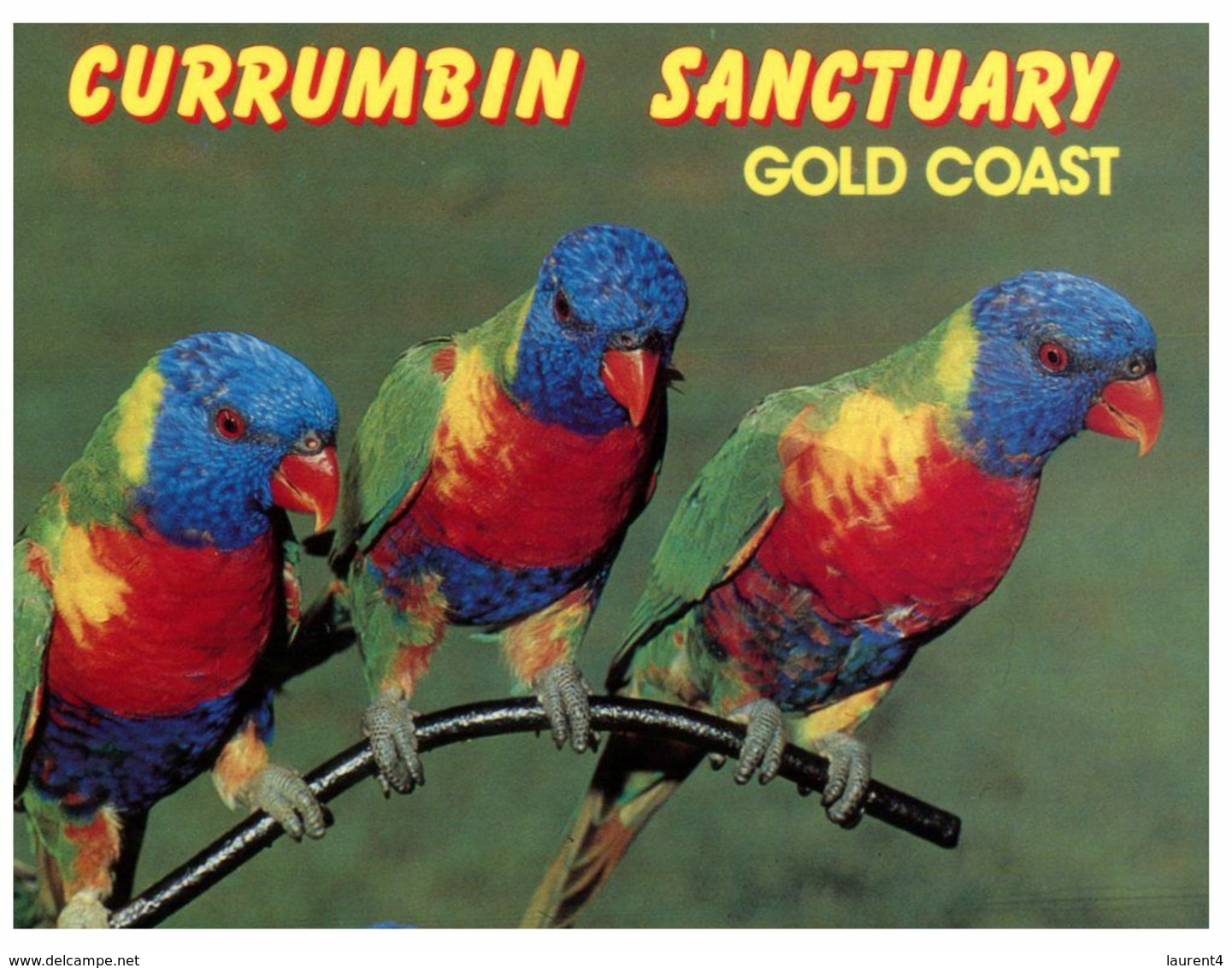 (M 20) Australia - QLD - Currumbin Bird - Postcard With Stamp And Postmark - Gold Coast