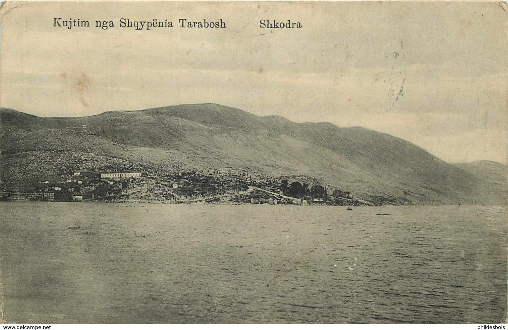 ALBANIE  SHKODRA - Albanie