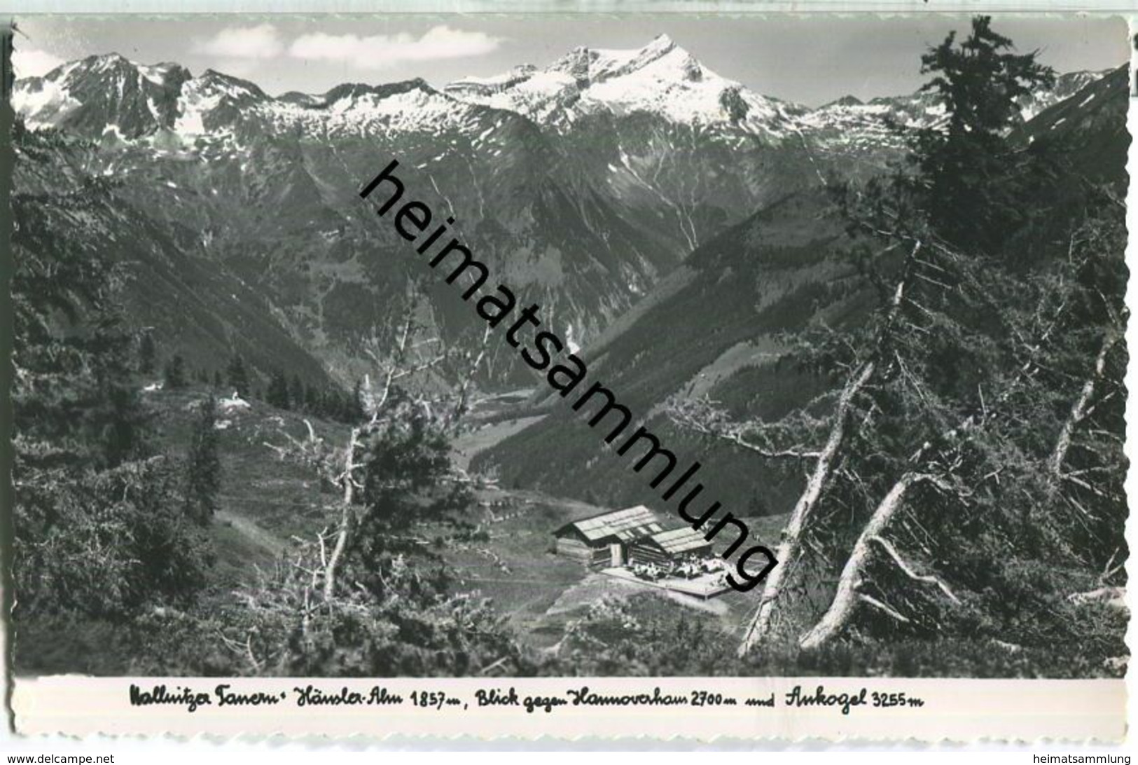 Mallnitzer Tauern - Häusler-Alm - Blick Gegen Hannoverhaus - Foto-Ansichtskarte - Verlag Reinhart Hebein Mallnitz - Mallnitz