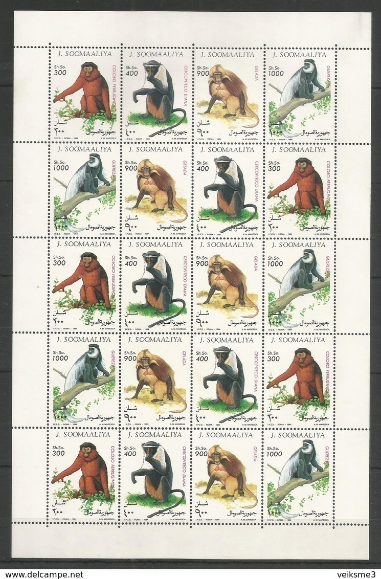 SOMALIA - MNH - Animals - Chimpanzees - Chimpanzees