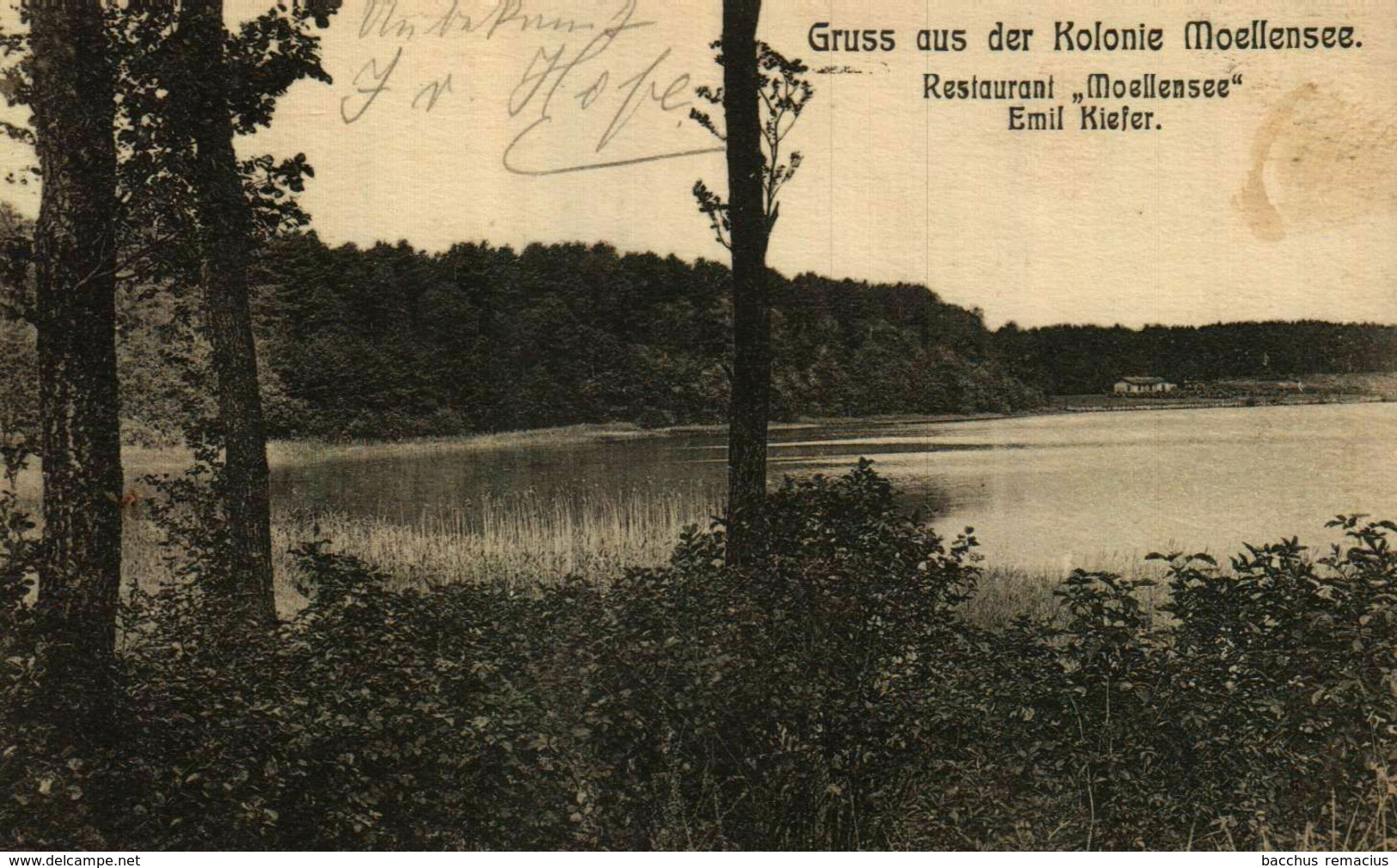 Gruss Aus Der KOLONIE MOELLENSEE  Restaurant "Moellensee" Emil Kiefer - Gruenheide