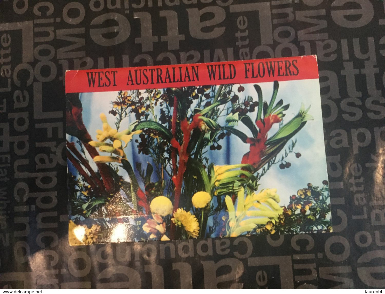 (Booklet 104) Australia - Wild Flowers - Outback