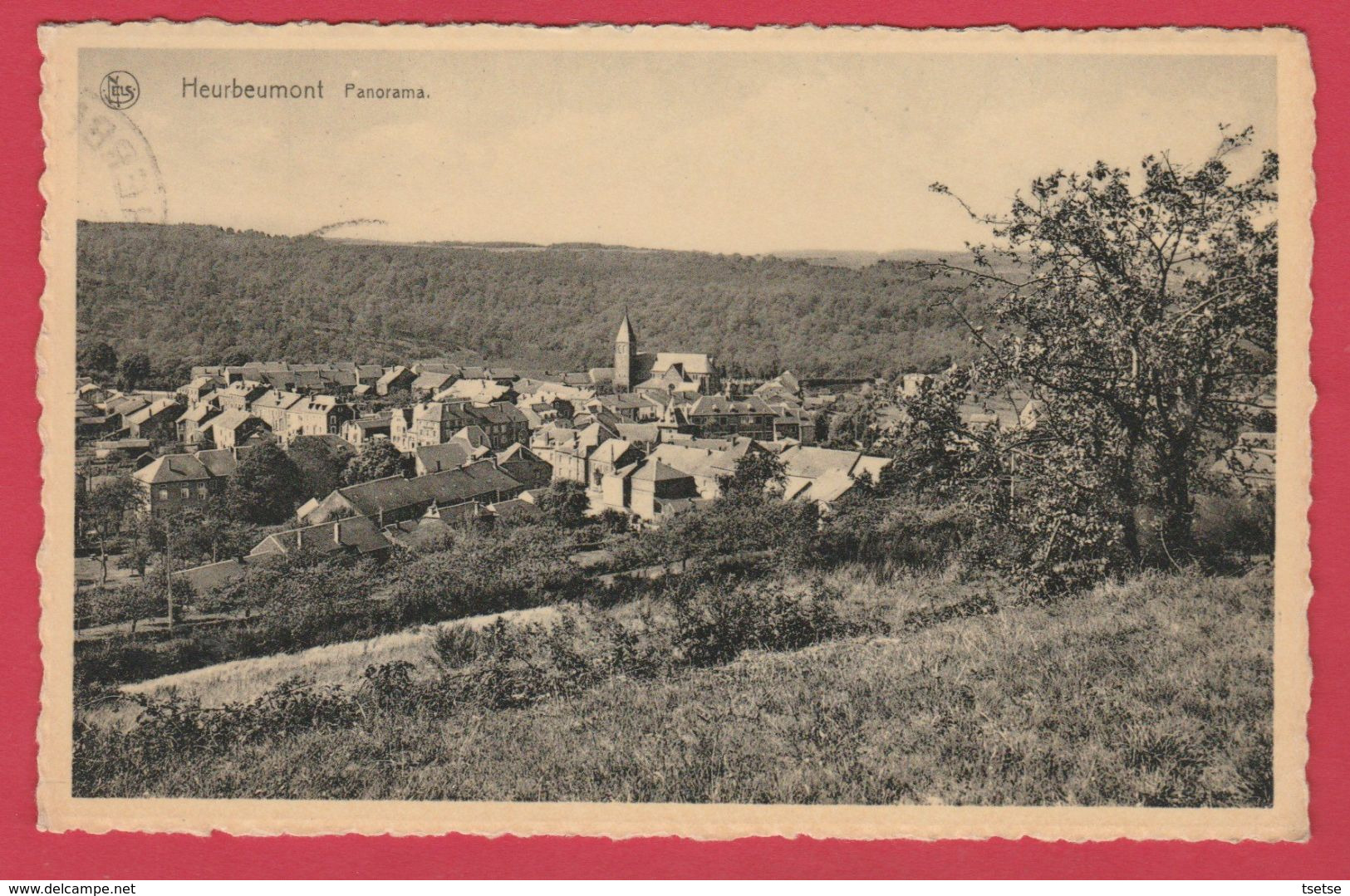 Herbeumont - Joli Panorama ... Bucolique Du Village ( Voir Verso ) - Herbeumont