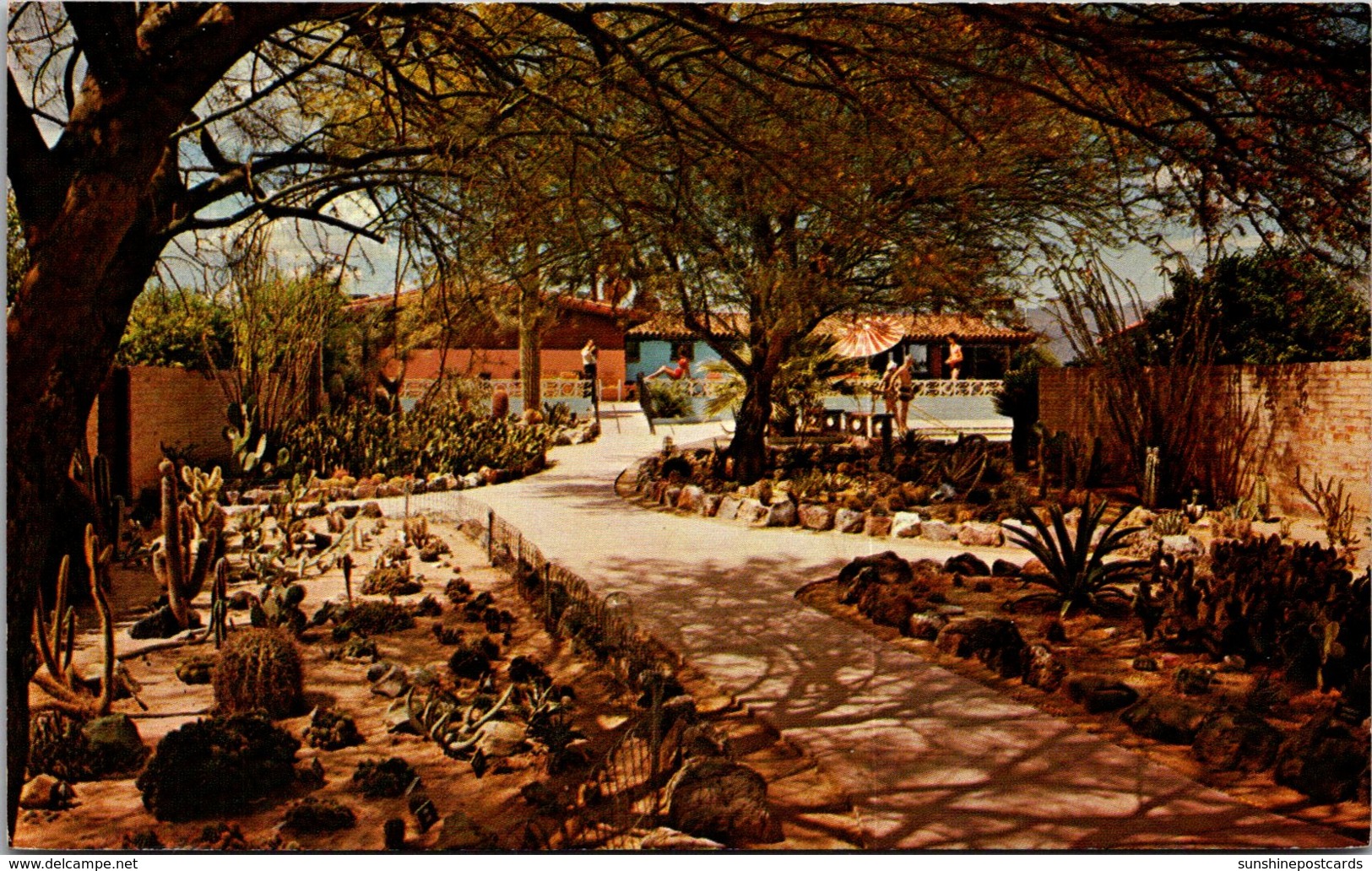 Arizona Tucson Ghost Ranch Lodge Cactus Garden - Tucson