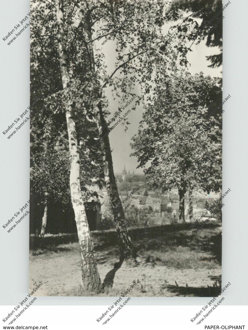 0-1512 WERDER / Havel, Blick Von Der Wachtelburg Auf Potsdamer Strasse Und Die Insel, 1959 - Werder