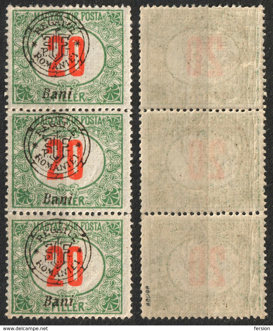 1919 Roman Occupation - Hungary - Oradea / Nagyvárad - Porto Due Stripe -  MNH - 20 Bani - Transylvania