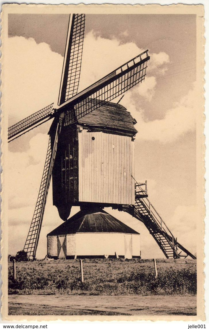 Veerle Laakdal Molen 1954 - Laakdal