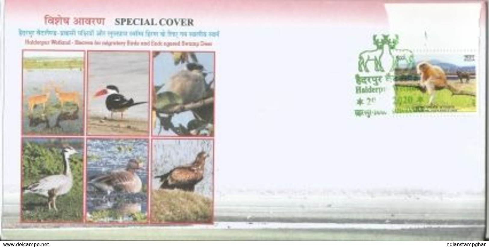 Haiderpur Wetland , Migratory Birds, Endangered Swamp Deer Pictorial Ca Plus Detail Broucher Special Cover By India Post - Autres & Non Classés