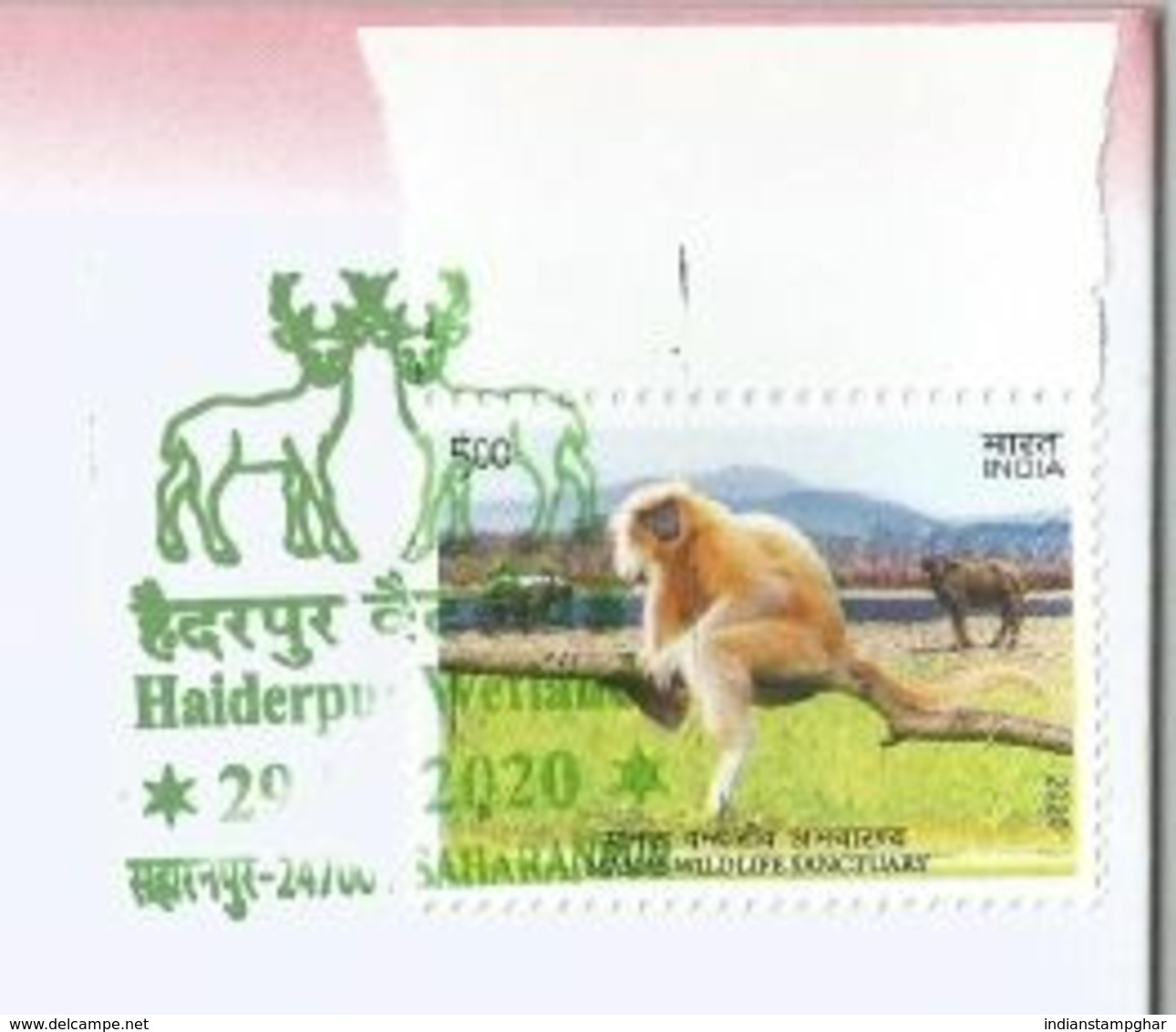 Haiderpur Wetland , Migratory Birds, Endangered Swamp Deer Pictorial Ca Plus Detail Broucher Special Cover By India Post - Autres & Non Classés