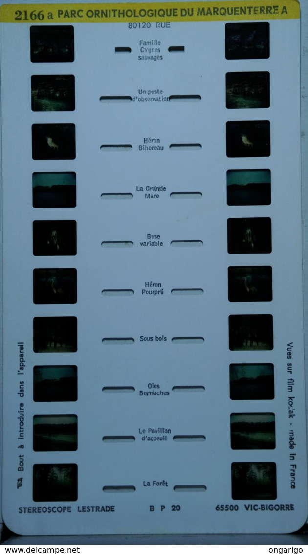 LESTRADE :  2166 A  PARC ORNITHOLOGIQUE DU MARQUETERRE A - Stereoscoopen