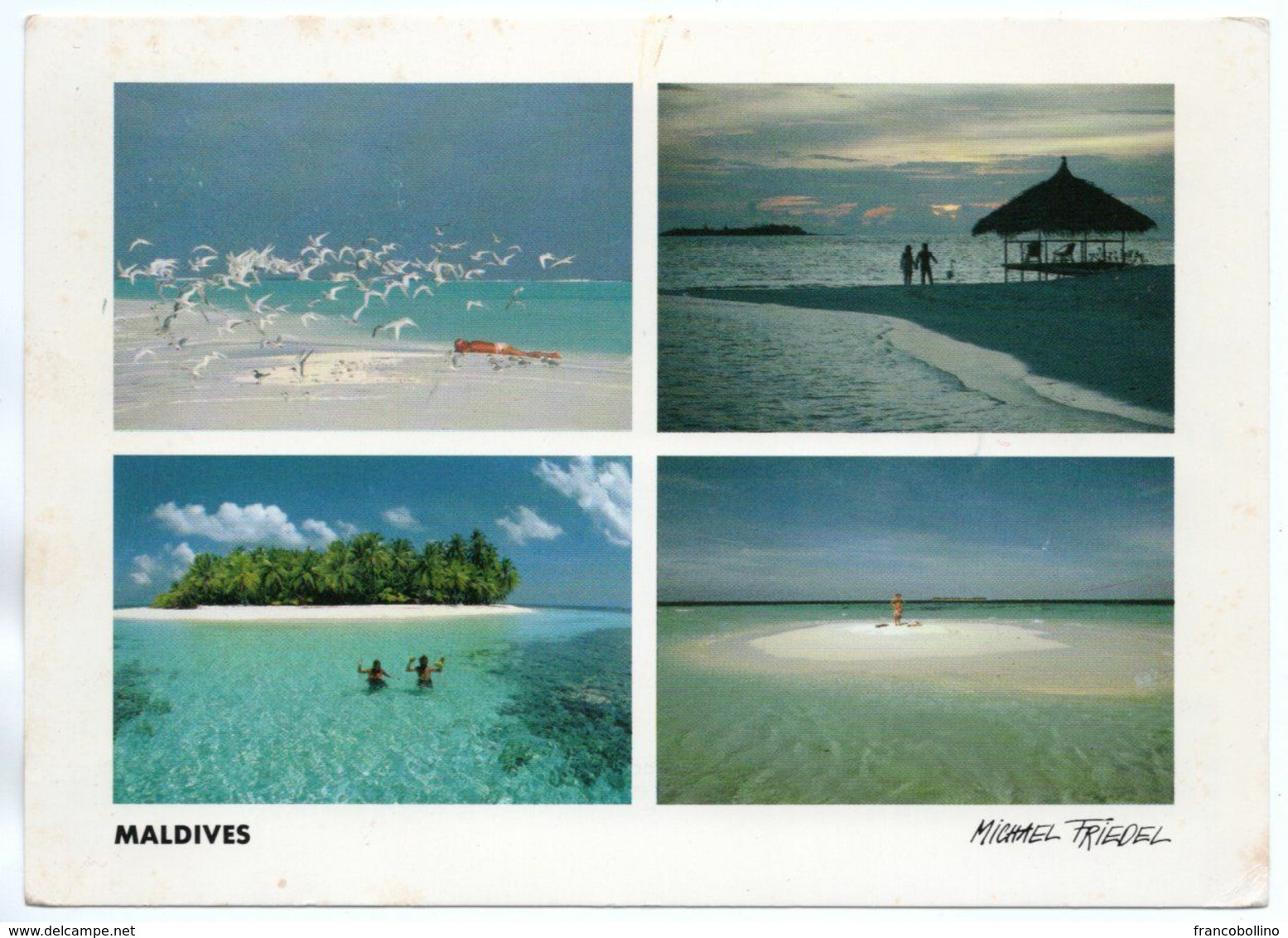 MALDIVES - VIEWS (PHOTO MICHAEL FRIEDEL N.23/118) / THEMATIC STAMP-BIRD - Maldive