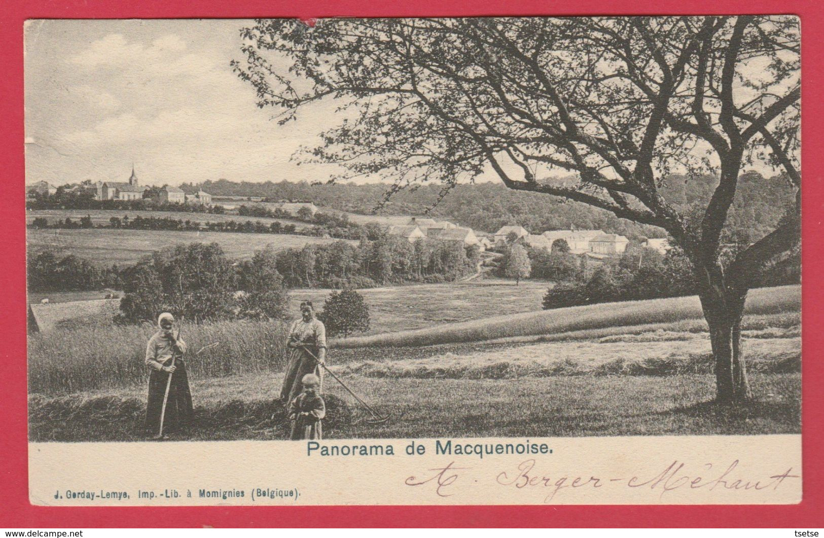 Macquenoise - Joli Panorama ... Fenaisons, Paysannes  -1902 ( Voir Verso ) - Momignies
