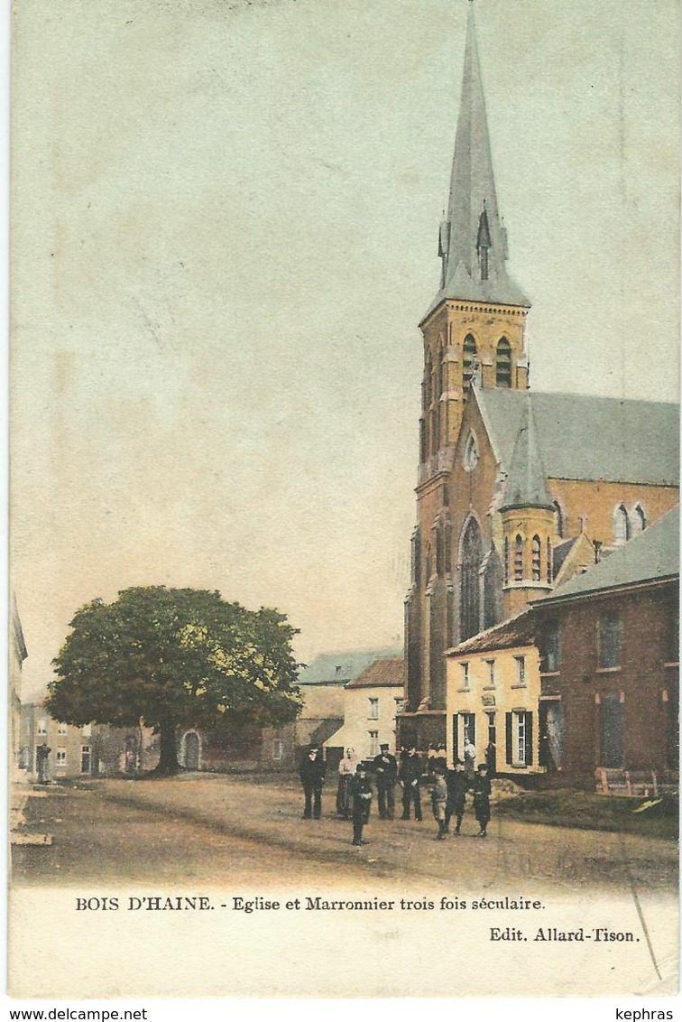 BOIS D'HAINE : Eglise Et Marronnier Trois Fois Séculaire - Cachet De La Poste 1907 - Manage