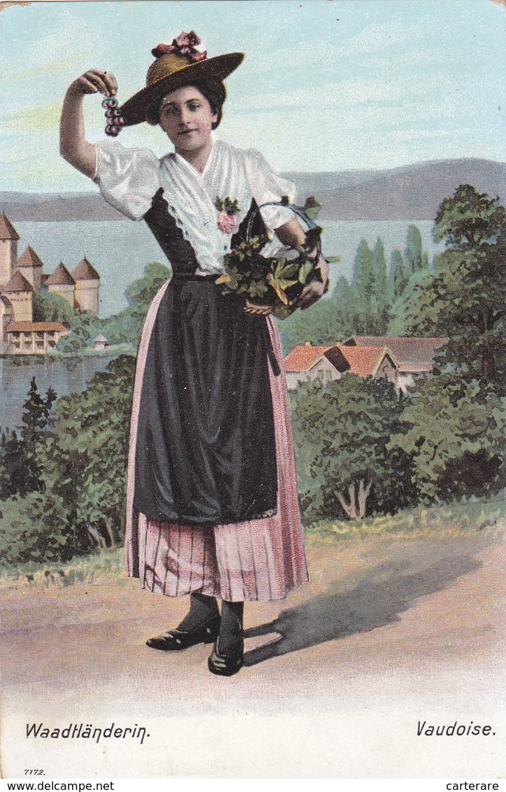 SUISSE,HELVETIA,SWISS,SCHWEIZ,SVIZZERA,SWITZERLAND,VAUD,FILLE,FEMME,PAYSANNE,RAISIN,VIGNERON,1900 - Other & Unclassified