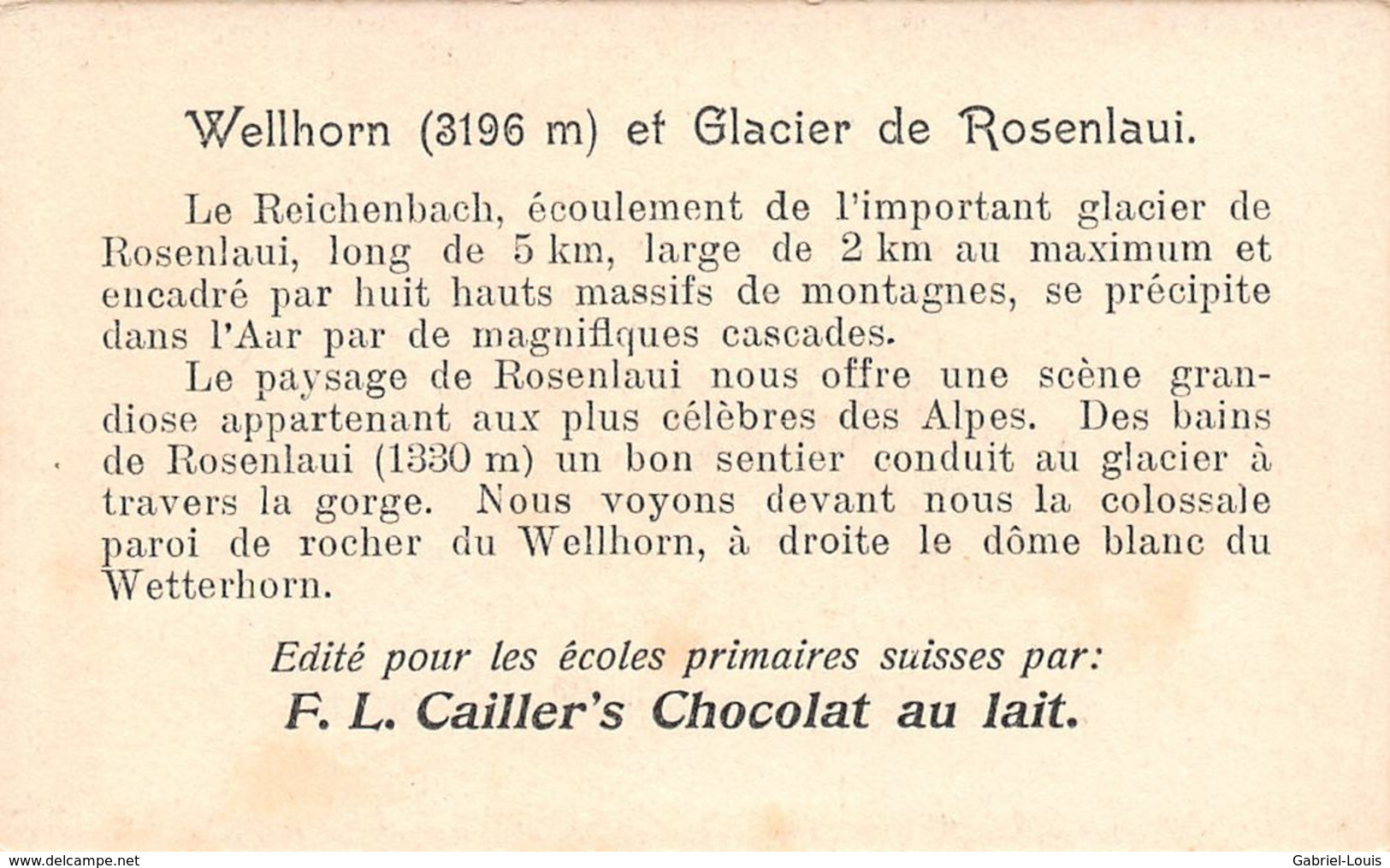 Wellhorn Glacier Du Rosenlaui Reichenbach - Wellhorn Wetterhorn Cailler 65 Chocolat Au Lait - Texte Au Dos  (~10 X 6 Cm) - Nestlé