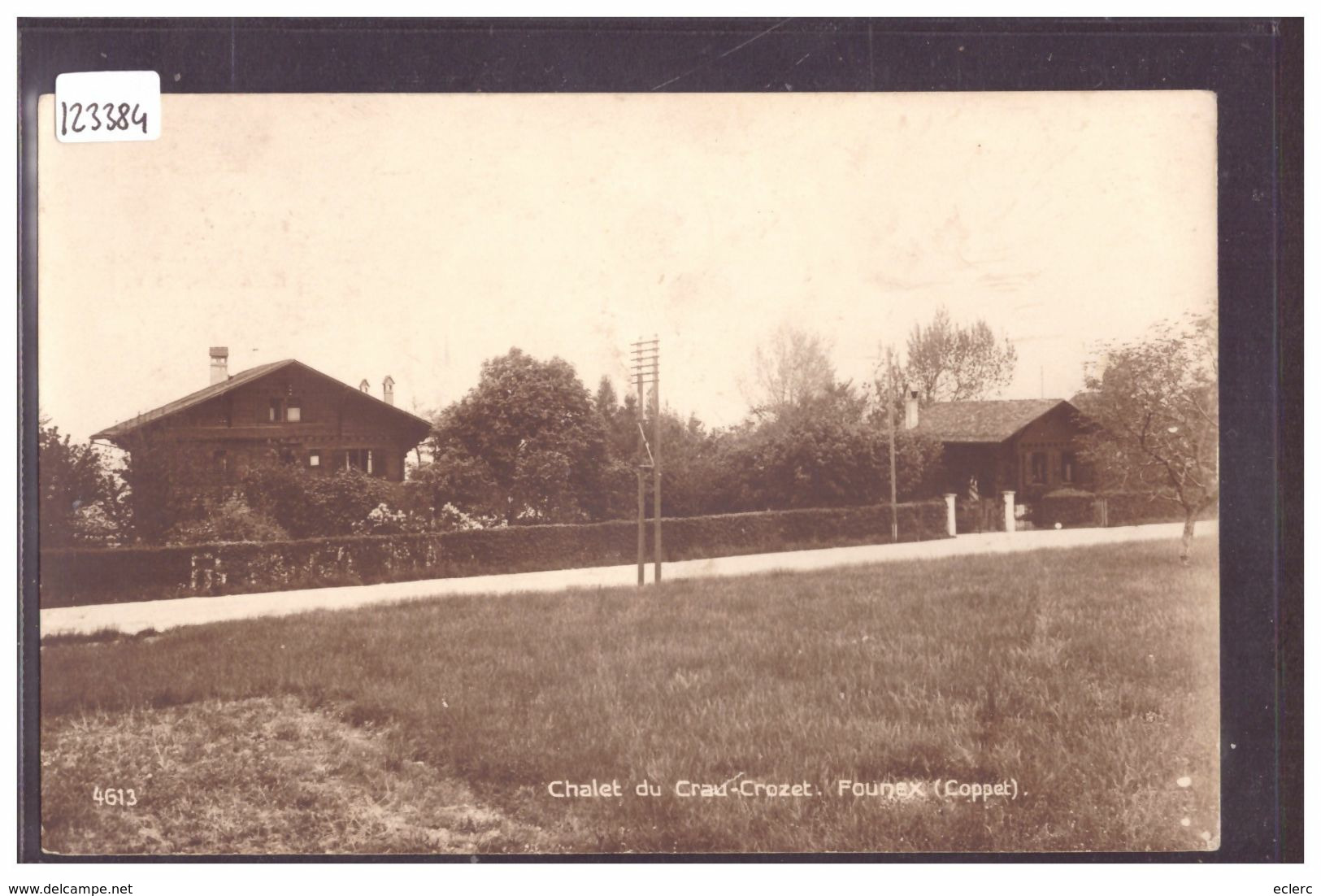 DISTRICT DE NYON - FOUNEX - CHALET DU CRAU CROZET - TB - Founex