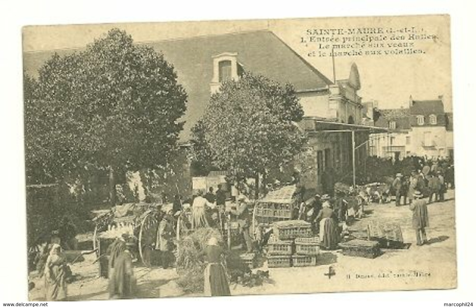 INDRE & LOIRE - Dépt N° 37 = Ste MAURE De TOURAINE 1907 = CPA DESME = Entrée Des Halles , Marché Aux Veaux Et Volailles - Other & Unclassified