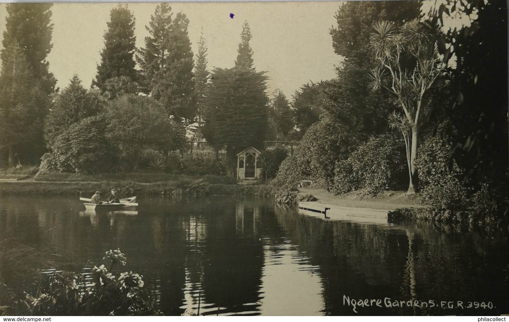 New Zealand / Photo Card - RPPC // Nqaere Gardens  - Ed F. G. R. 3940 - New Zealand