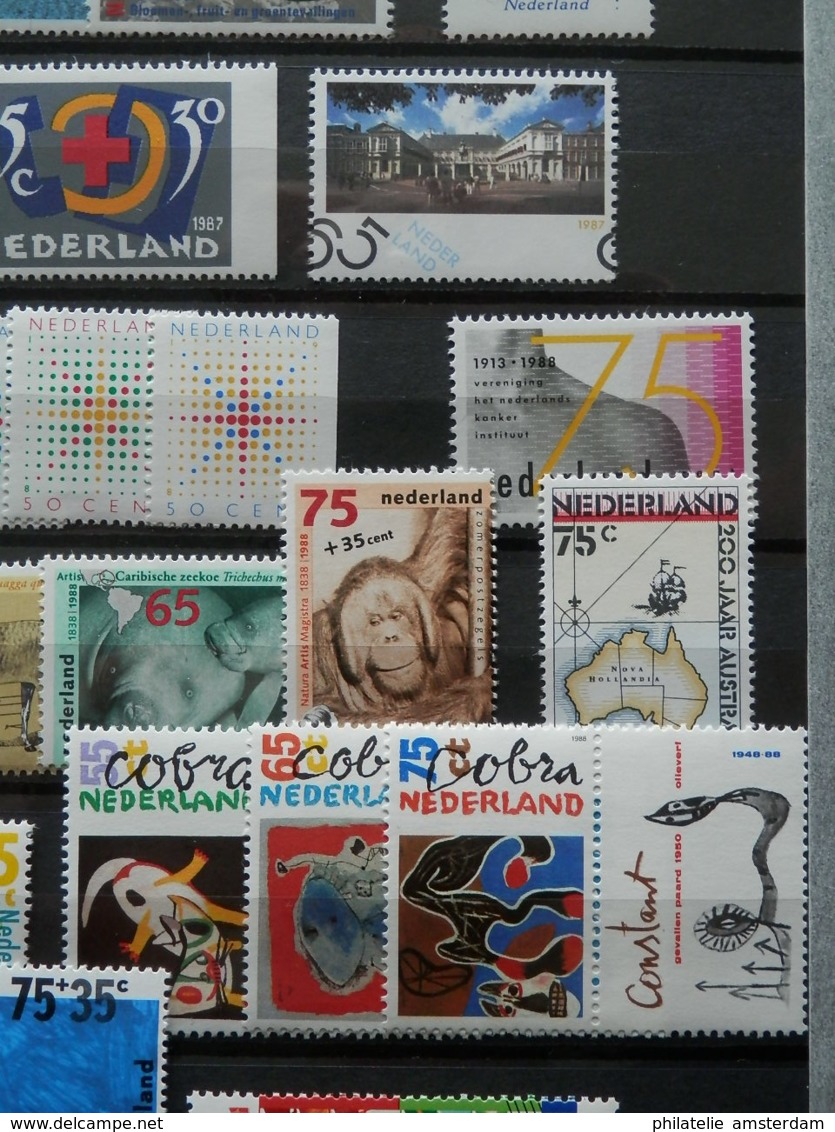 Netherlands 1980-2000: MNH collection in stockbook