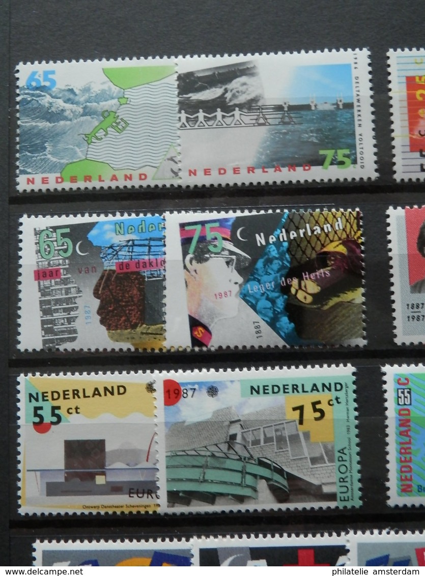 Netherlands 1980-2000: MNH collection in stockbook