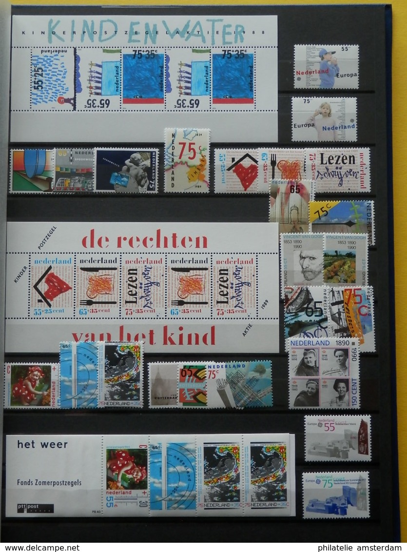 Netherlands 1980-2000: MNH collection in stockbook