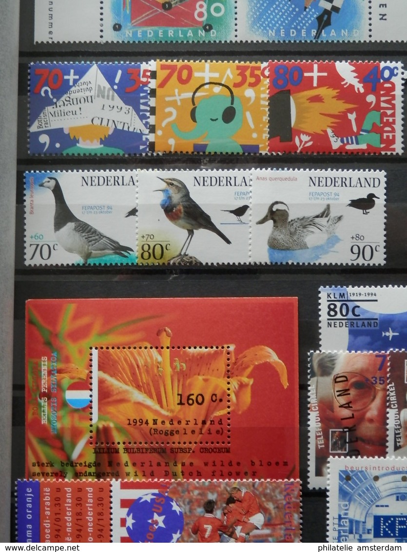 Netherlands 1980-2000: MNH collection in stockbook