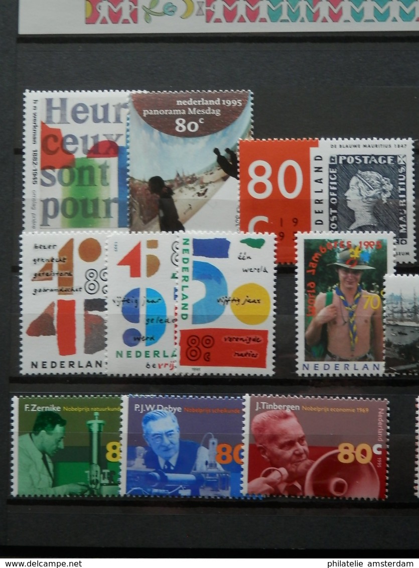 Netherlands 1980-2000: MNH collection in stockbook