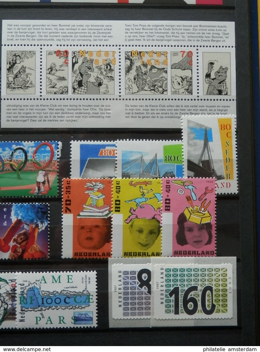 Netherlands 1980-2000: MNH collection in stockbook