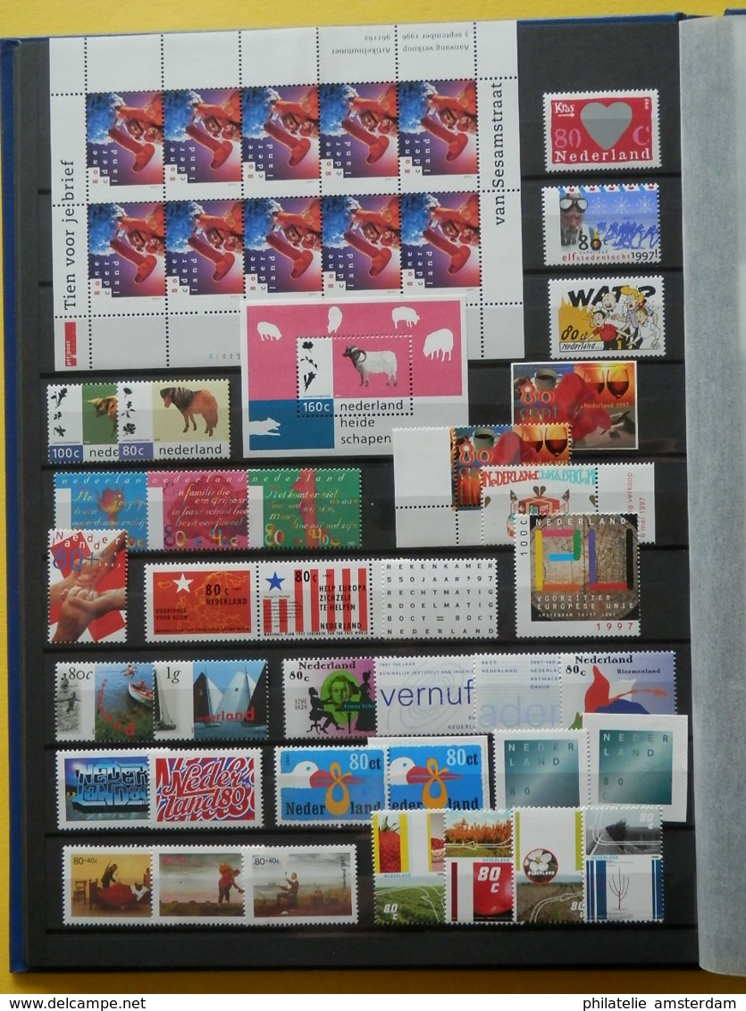 Netherlands 1980-2000: MNH collection in stockbook