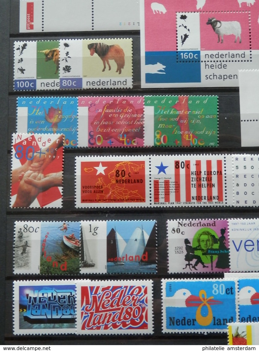 Netherlands 1980-2000: MNH collection in stockbook