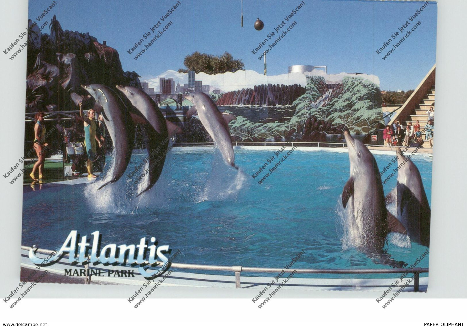 TIERE - DELFIN / DELPHIN / DOLPHIN / DAUPHIN - TWO ROCKS, Australia, ATLANTIS - Dauphins