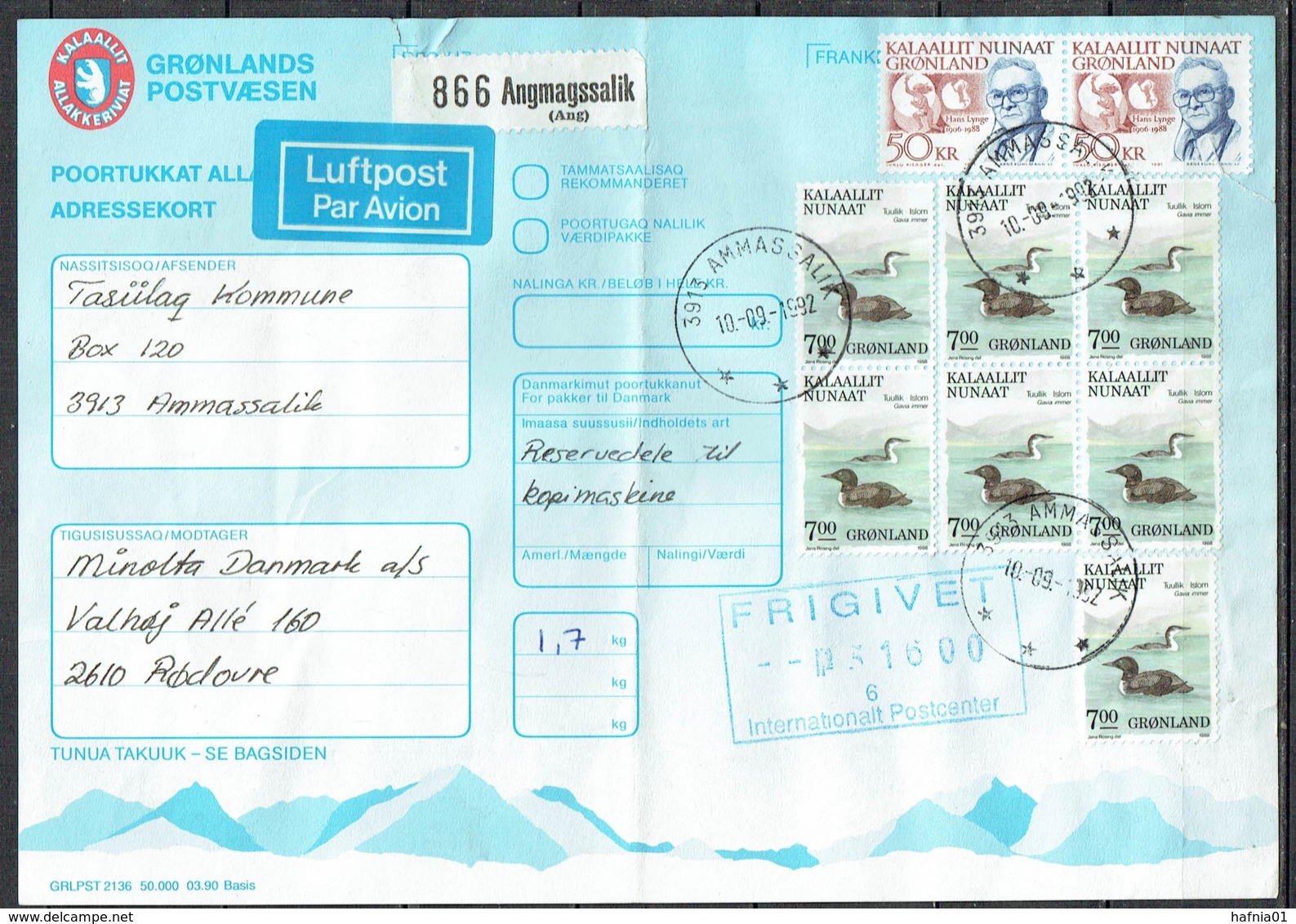Greenland 1990. Parcel Card For Parcel Sent From Angmagssalik To Kastrup, Denmark. - Pacchi Postali