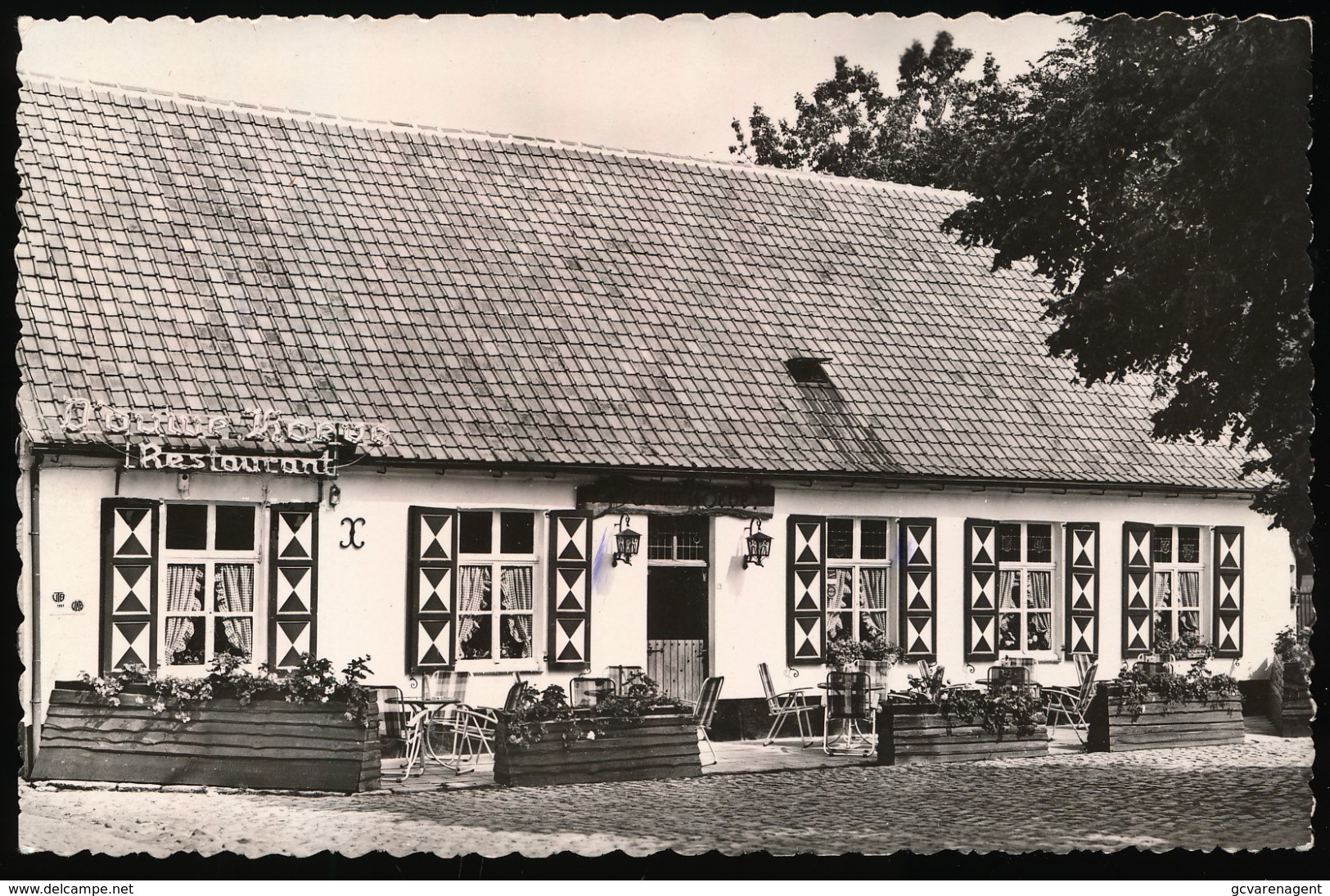 DEURLE   GASTHOF OUWE HOEVE   KOFFIEHUIS  TERRAS   DORP 26  FOTOKAART - Sint-Martens-Latem