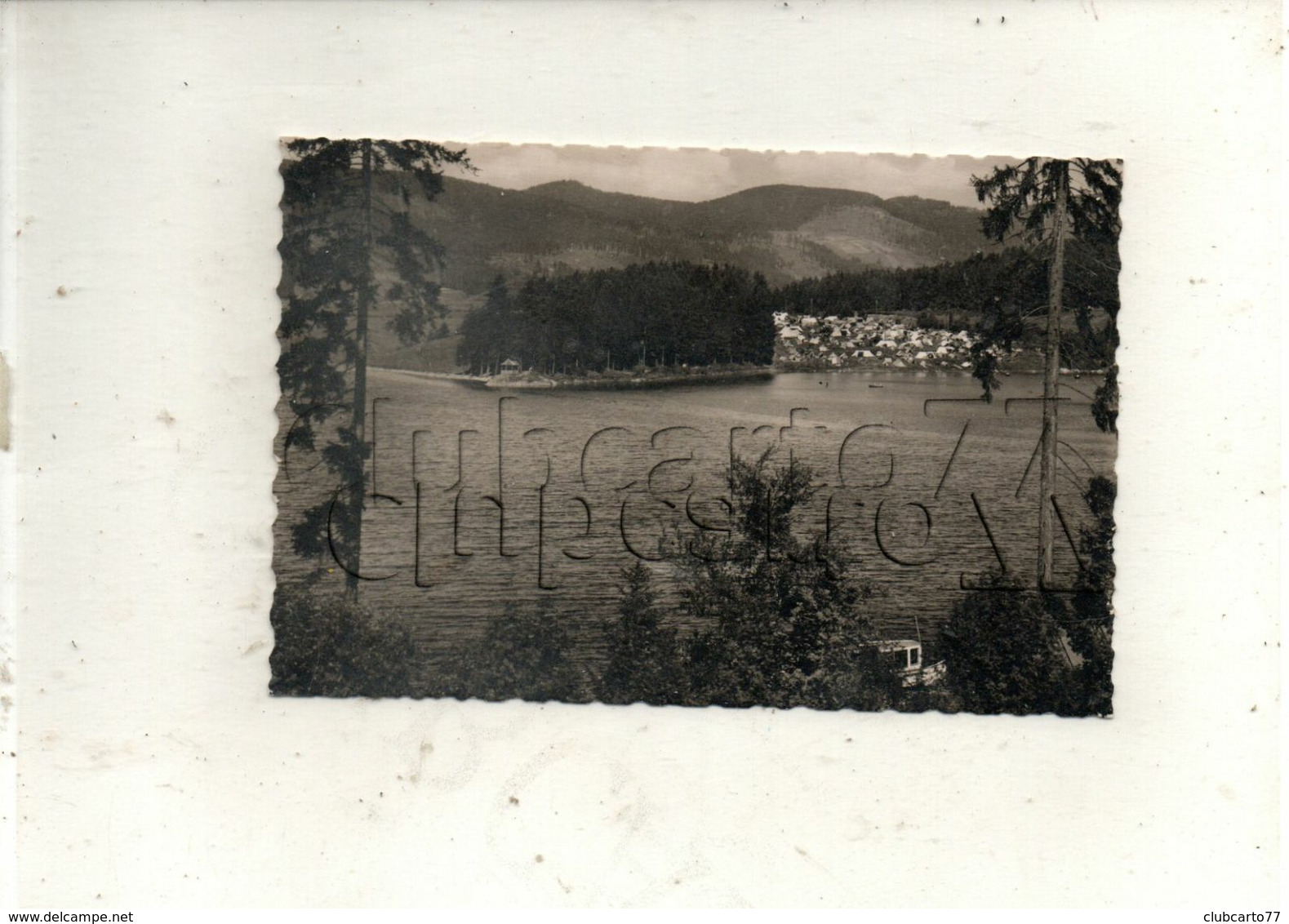 Schluchsee (Allemagne, Bade-Wurtemberg) : Blick Zum Campingplatz  Im 1950 PF. - Schluchsee