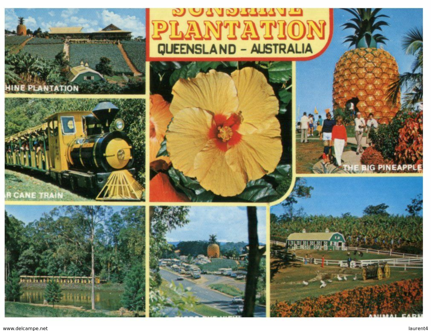 (N 20 A) Australia - QLD - Sunshine Plantation (Big Pinneaple) - Sunshine Coast