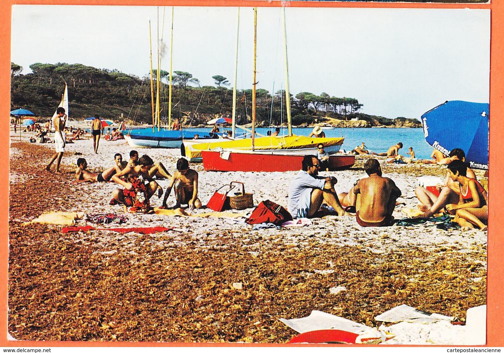 X83138 SAINT-TROPEZ St 83-Var Port Pêche Plaisance Plage Salins Scène Bain Et TOUTESvoiliers 1975s CIMCOLOR COMBIER 0385 - Saint-Tropez