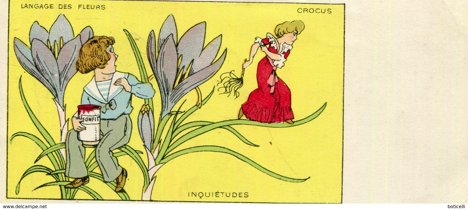 LANGAGE DES FLEURS  Crocus - Other & Unclassified