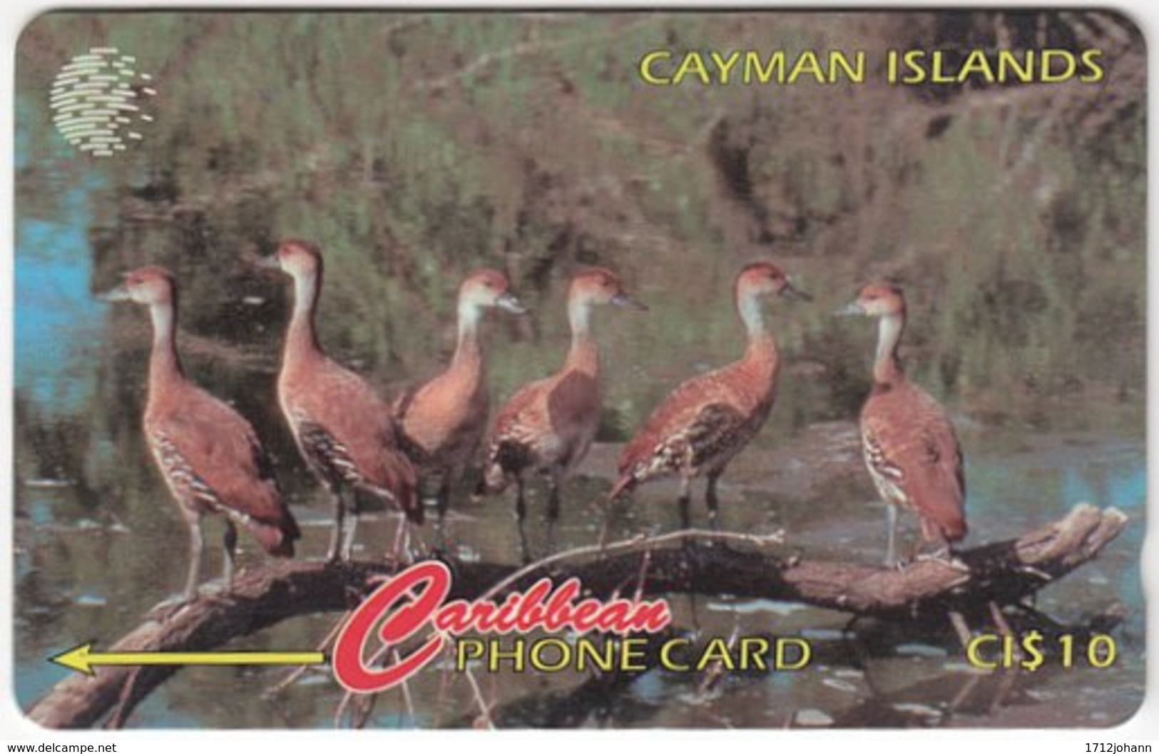 CAYMAN ISLANDS A-181 Magnetic Cable & Wireless - Animal, Bird - 13CCIA - Used - Cayman Islands