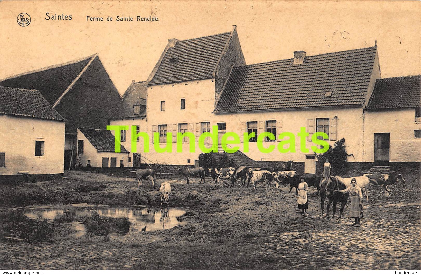 CPA SAINTES FERME DE SAINTE RENELDE TUBIZE ( PLI D'ANGLE ) - Tubize