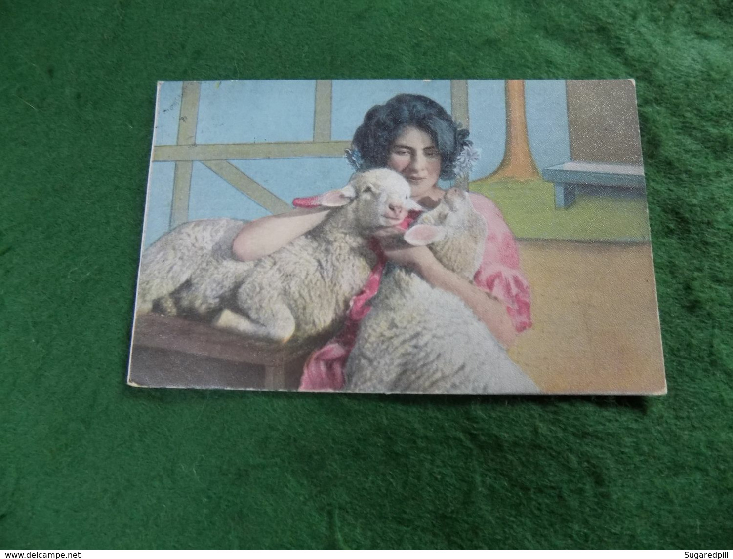 VINTAGE TOPICS - ANIMALS: SHEEP Woman Cuddles Lambs Tint 1904 ESD - Altri & Non Classificati