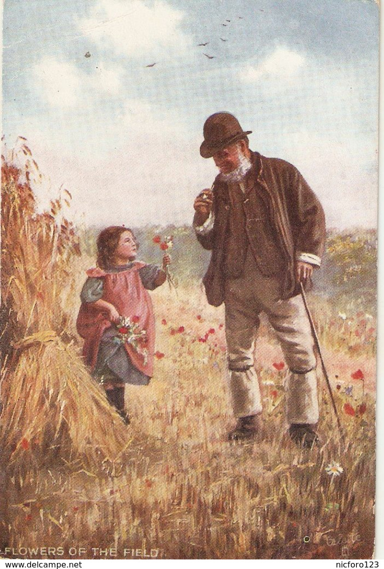 "Flowers Of The Field" Tuck Oilette Country Life Series PC # 9409 - Tuck, Raphael