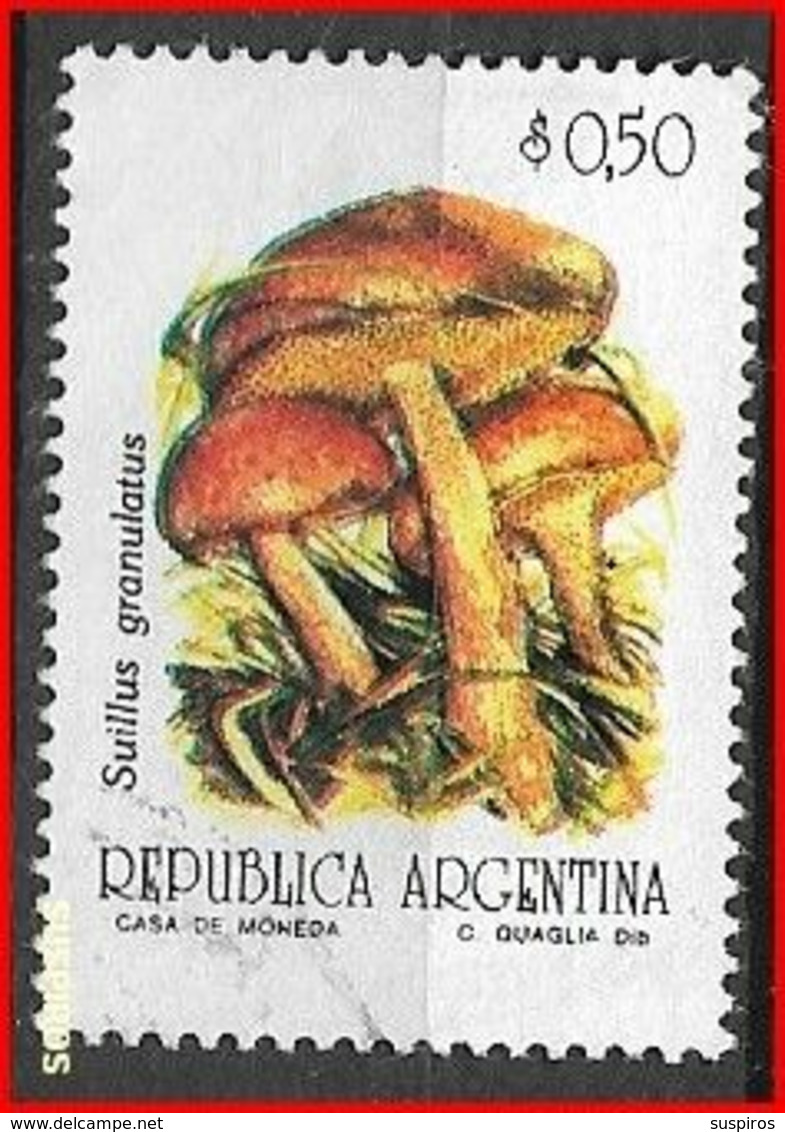 ARGENTINA 1993 Fungi   USED  NO WM GJ # 2595 - Used Stamps