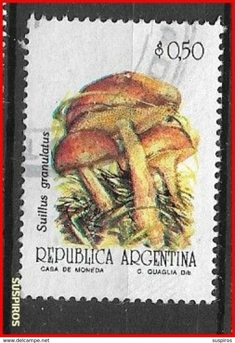 ARGENTINA 1993 Fungi   USED  NO WM GJ # 2595 - Usados