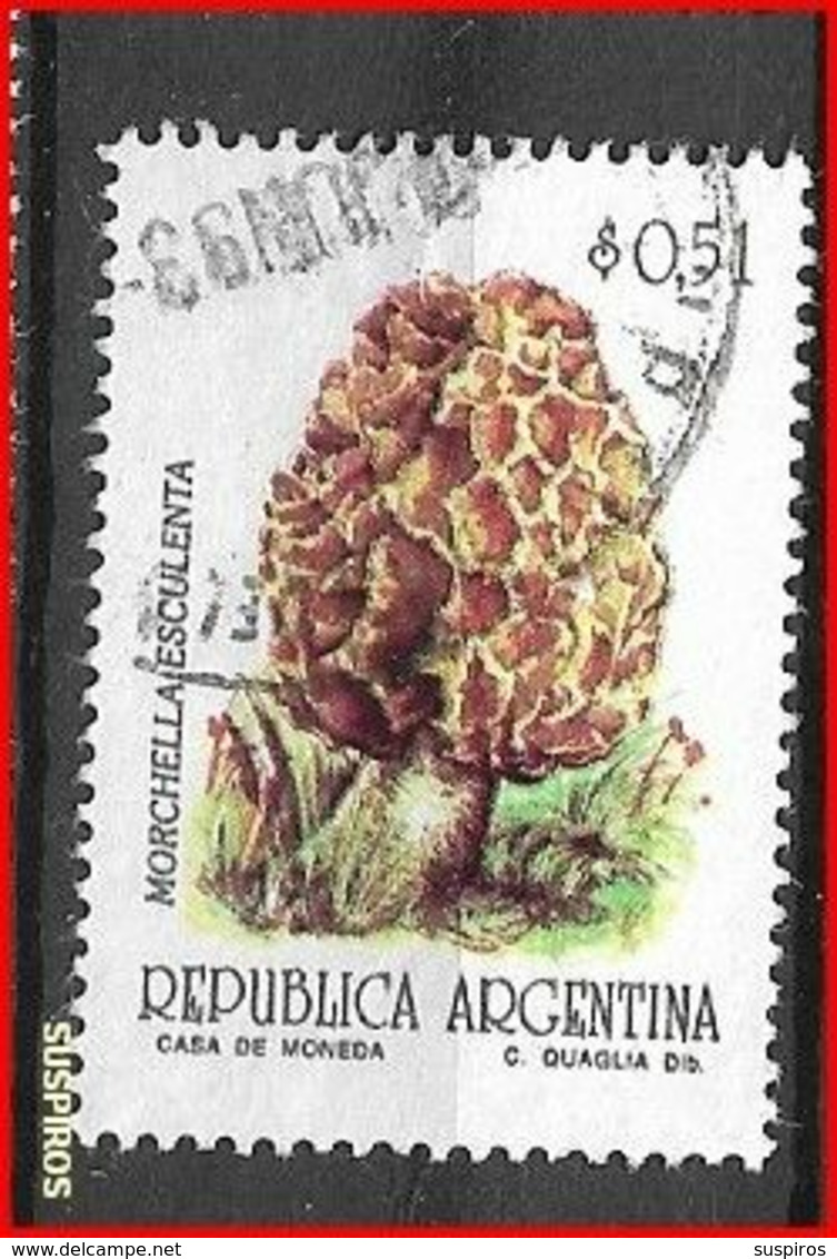 ARGENTINA 1992 Mushrooms & Fungi    USED  NO WM GJ # 2596 - Used Stamps