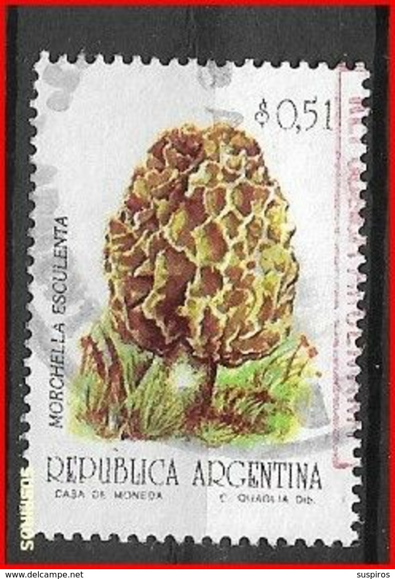 ARGENTINA 1992 Mushrooms & Fungi    USED  NO WM GJ # 2596 - Usados