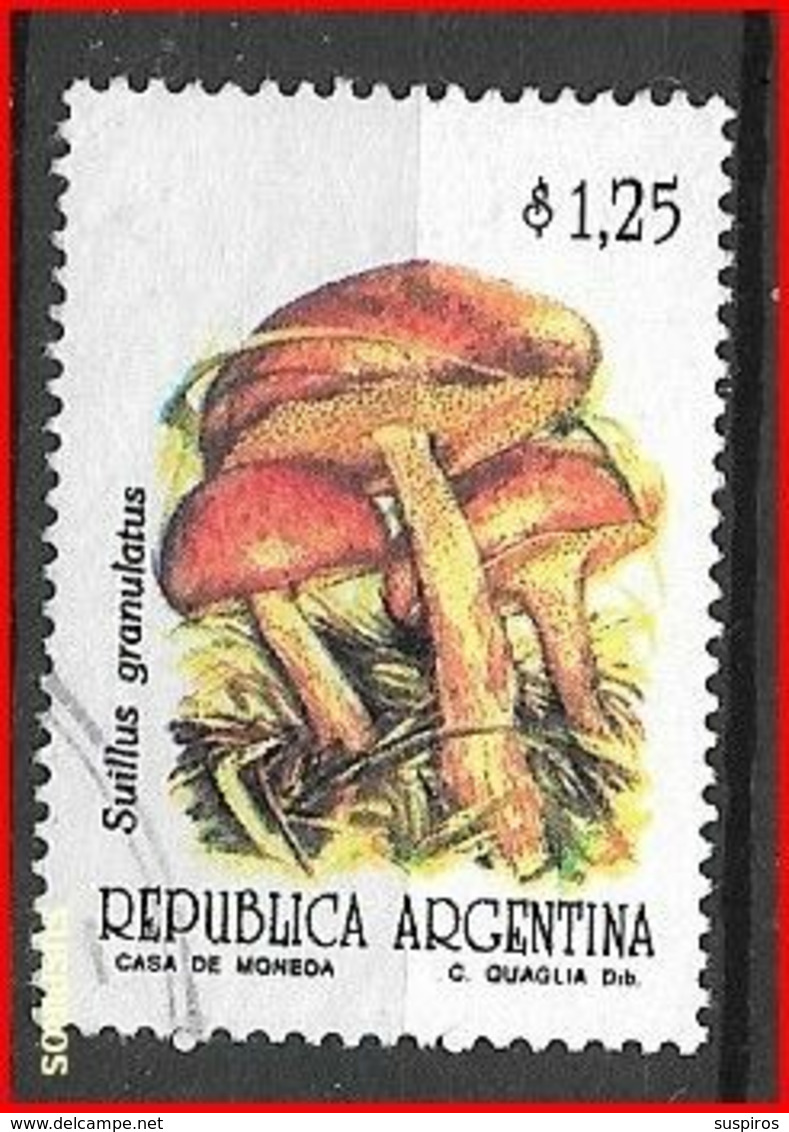 ARGENTINA 1992  Mushrooms & Fungi    USED  NO WM GJ # 2600 - Used Stamps