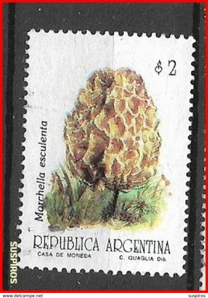 ARGENTINA 1992  Mushrooms & Fungi    USED  NO WM GJ # 2601 LAST VALUE - Used Stamps