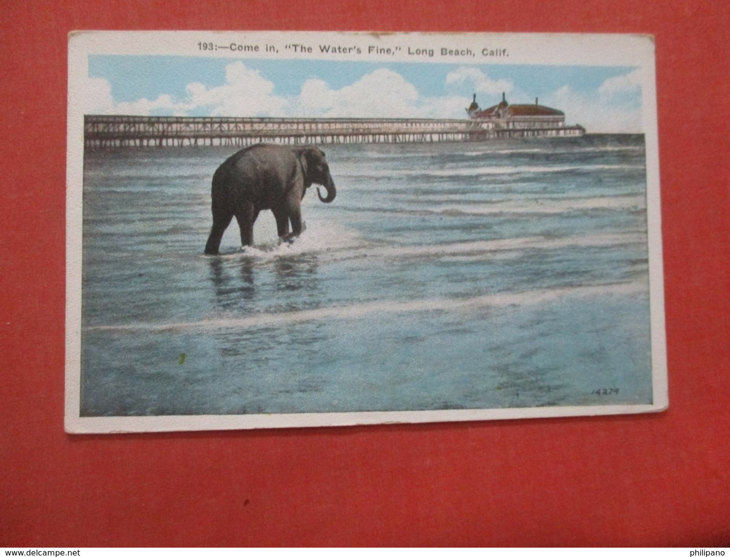 Elephant-- Come In The Water's Fine   California > Long Beach>  Ref 4358 - Long Beach